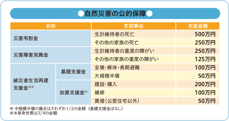 自然災害の公的保障