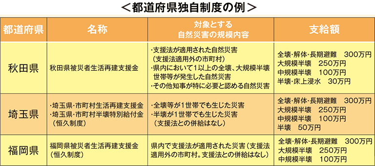 都道府県独自制度の例